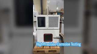 Benchtop Salt Spray Test Cabinet, Corrosion Tester For Screws, Springs, Electroplated Parts