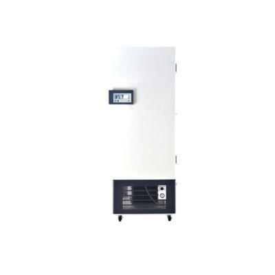 CO2 Incubator With Illumination For Laboratory Scientific Research Ideal Equipment 500L