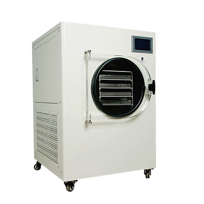 Small Mini Home Vacuum Freeze Dryer For Fruit And Vegertables Freeze Dryer